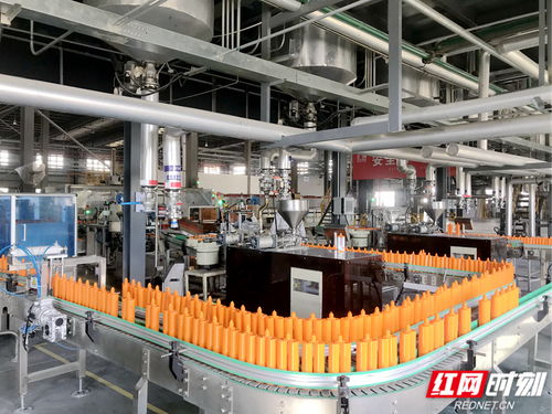 奔向新質④丨岳陽經開區 向綠、向數、向高端的靖竏科技實踐